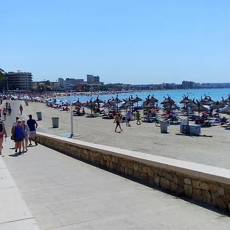Bari